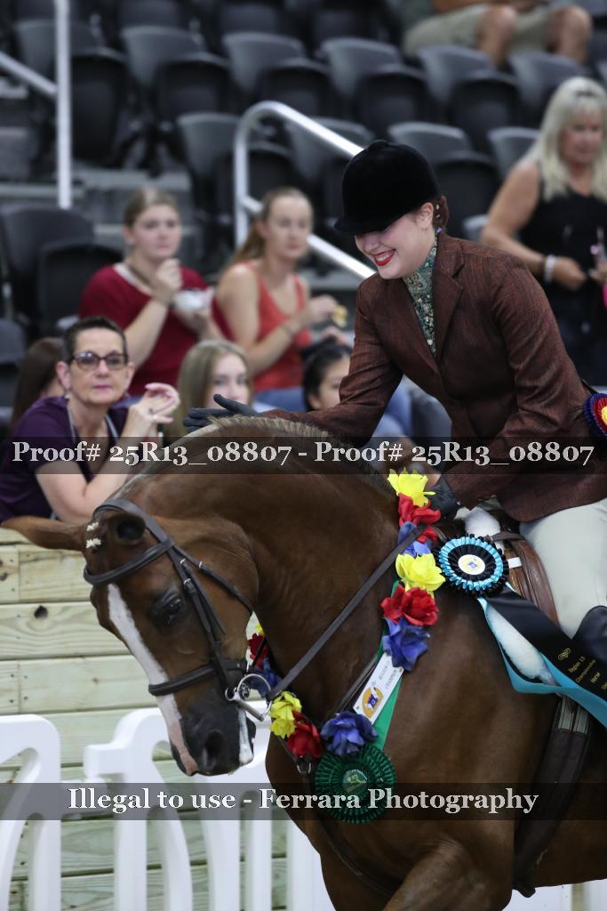 Proof 25R13_08807
