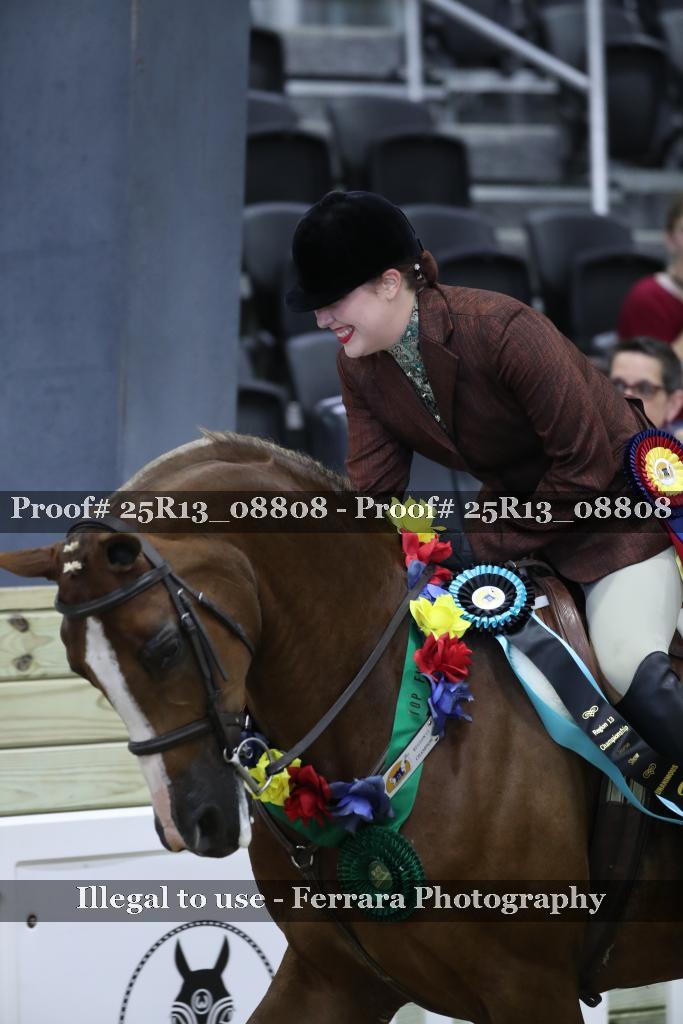 Proof 25R13_08808