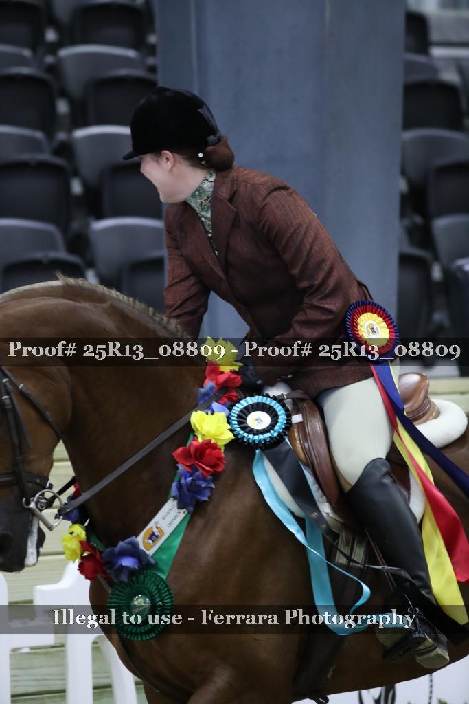 Proof 25R13_08809