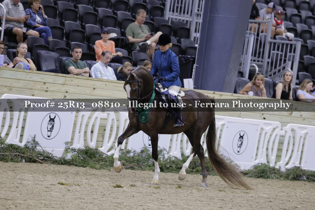 Proof 25R13_08810