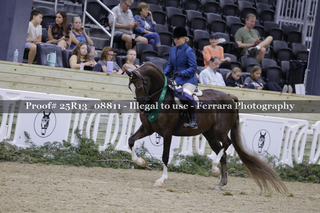 Proof 25R13_08811
