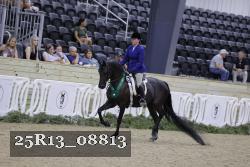 25R13_08813 proof