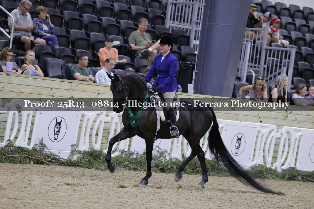 Proof 25R13_08814