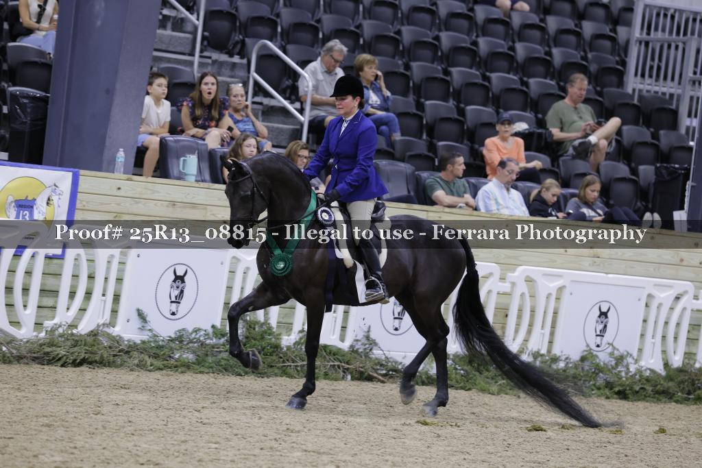 Proof 25R13_08815