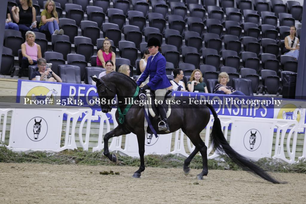 Proof 25R13_08816