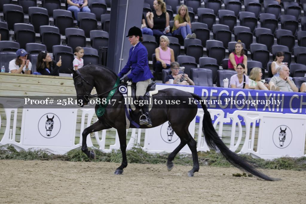 Proof 25R13_08817