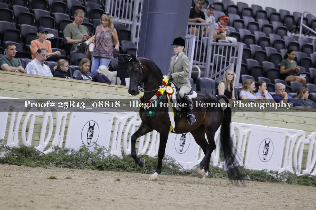 Proof 25R13_08818