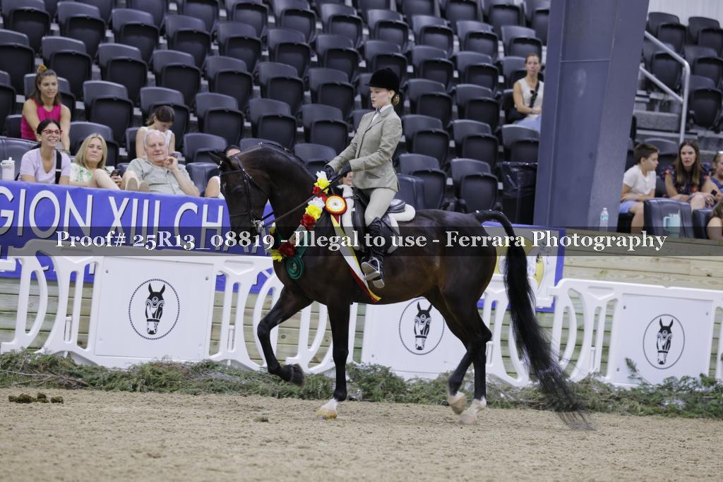 Proof 25R13_08819