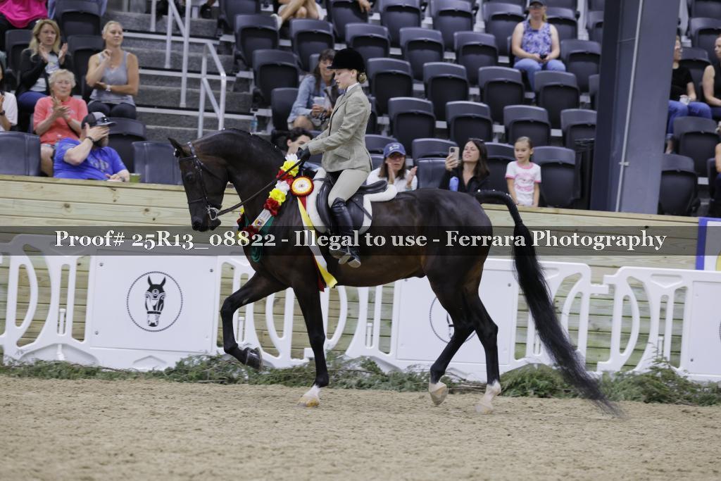 Proof 25R13_08822