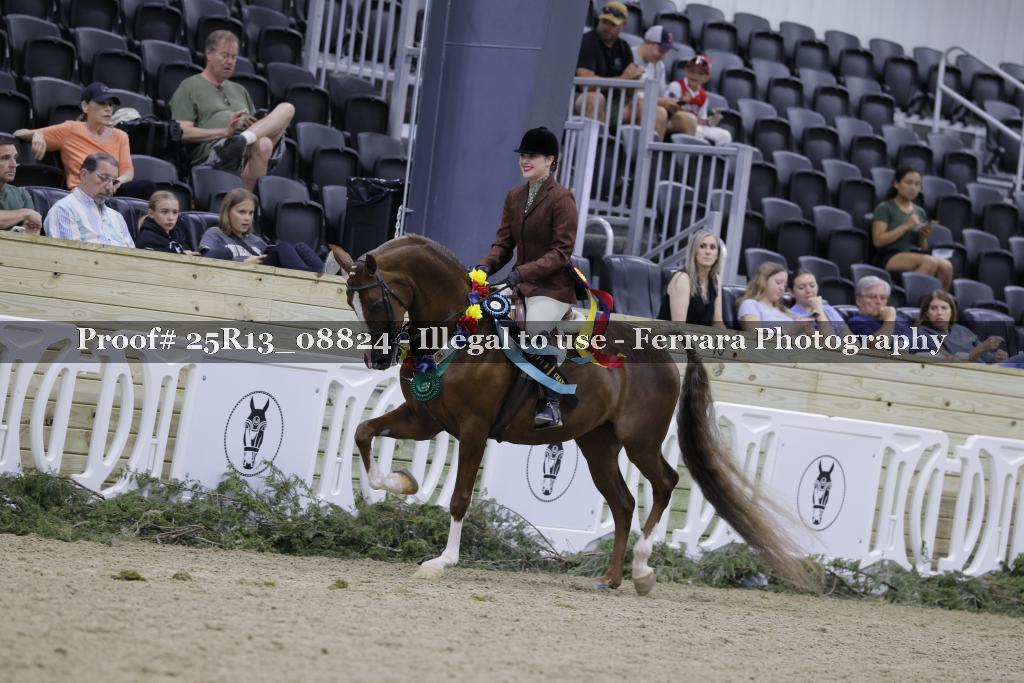 Proof 25R13_08824