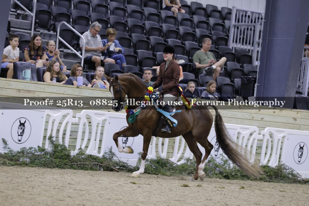 Proof 25R13_08825