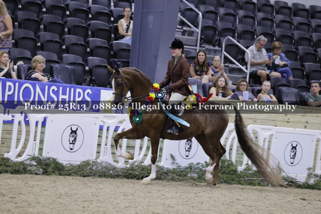 Proof 25R13_08826