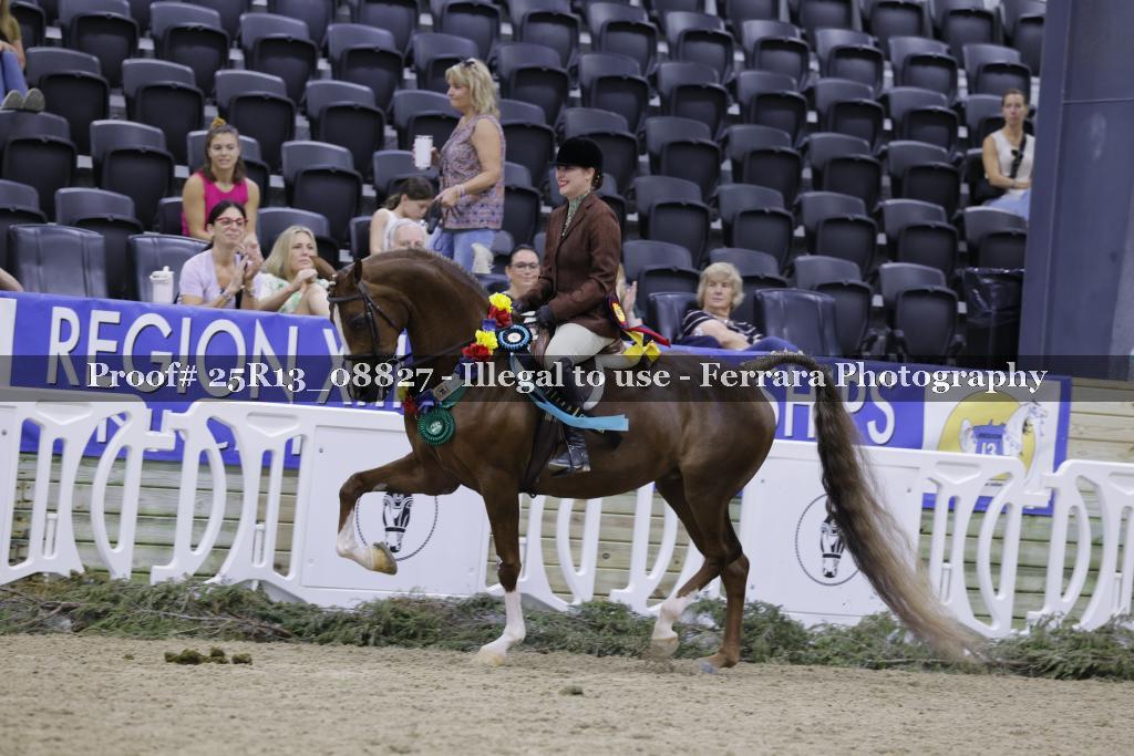 Proof 25R13_08827