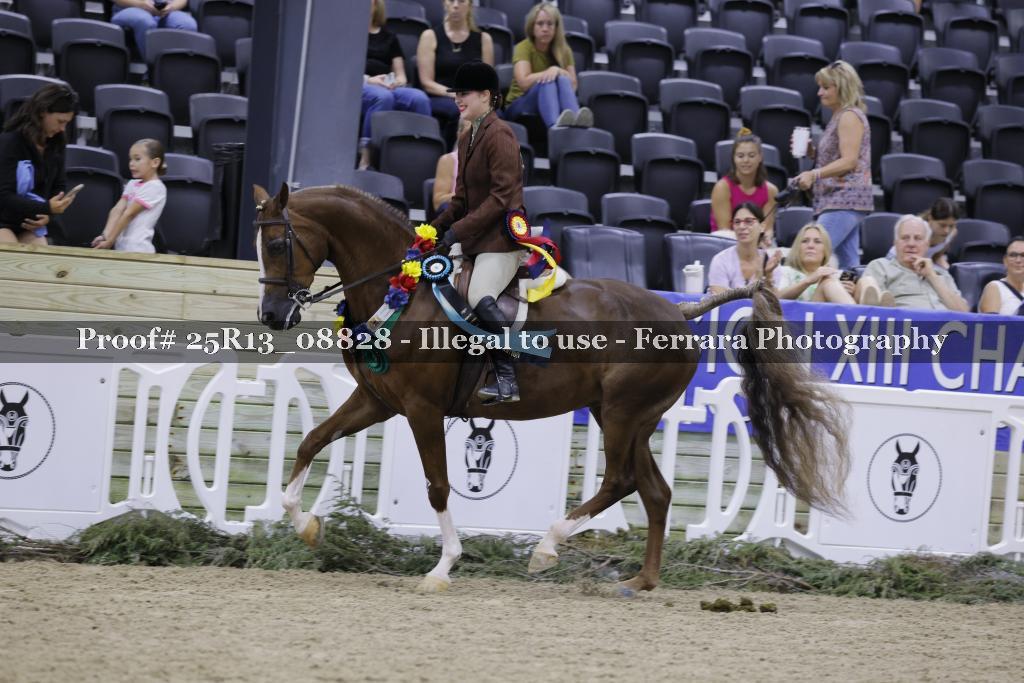Proof 25R13_08828