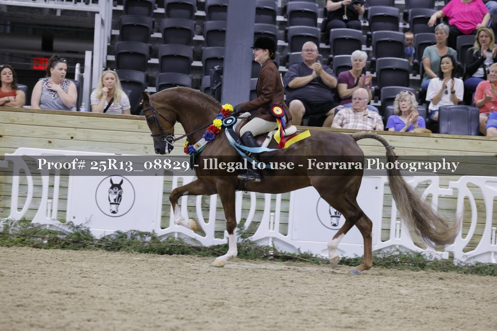 Proof 25R13_08829