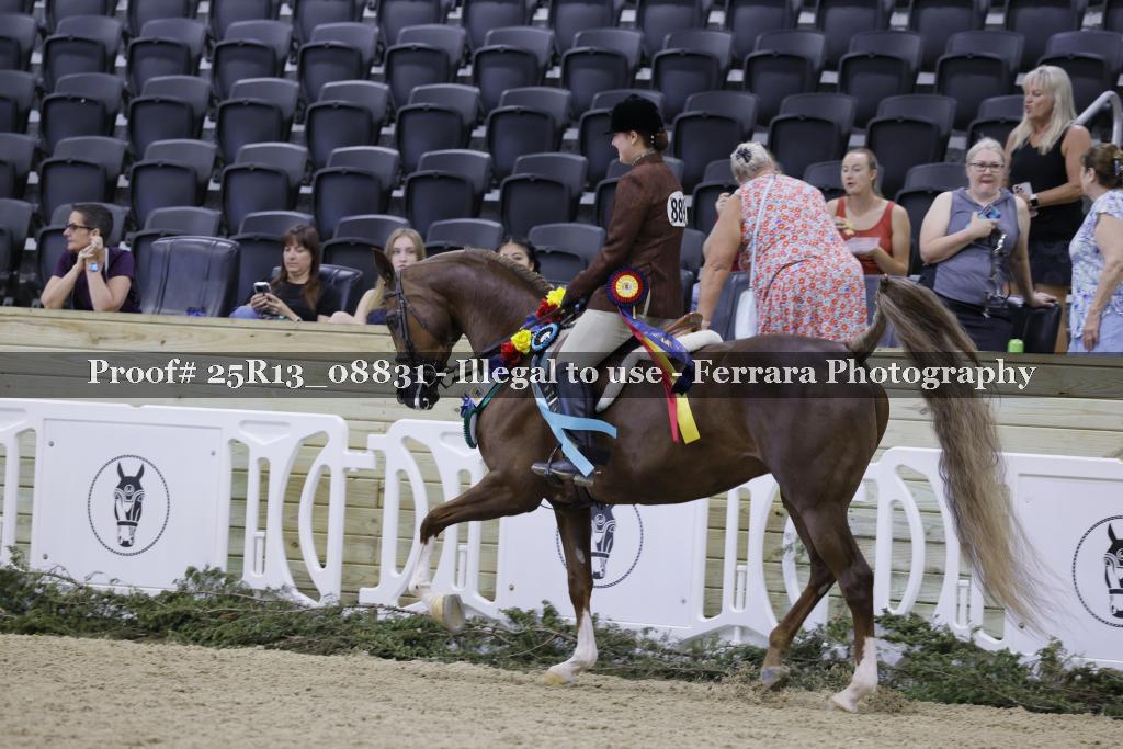 Proof 25R13_08831