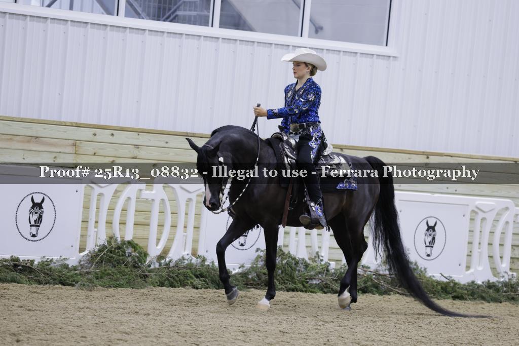 Proof 25R13_08832
