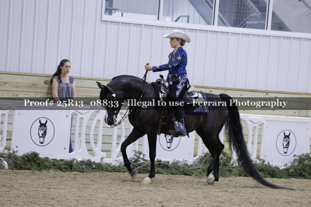 Proof 25R13_08833