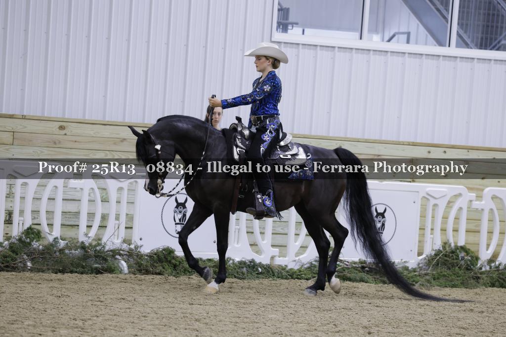 Proof 25R13_08834