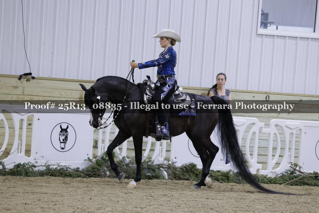 Proof 25R13_08835