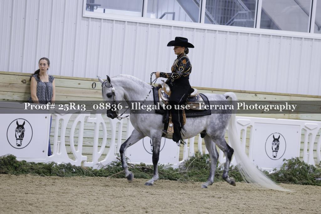 Proof 25R13_08836