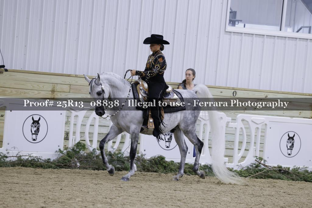Proof 25R13_08838