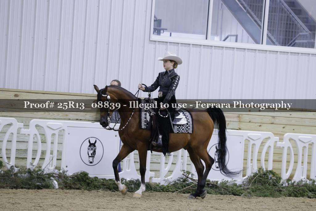 Proof 25R13_08839
