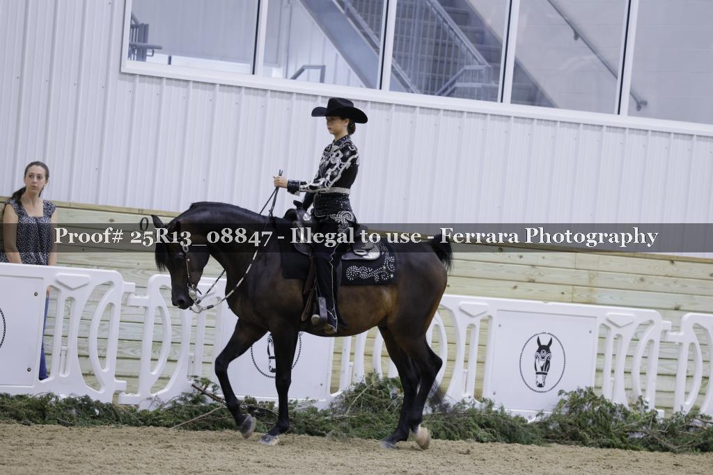 Proof 25R13_08847