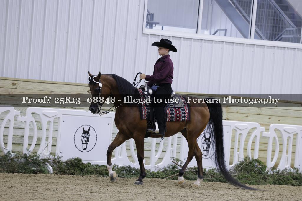 Proof 25R13_08848