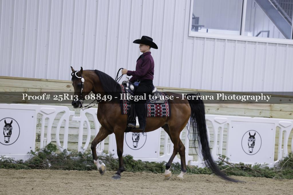 Proof 25R13_08849
