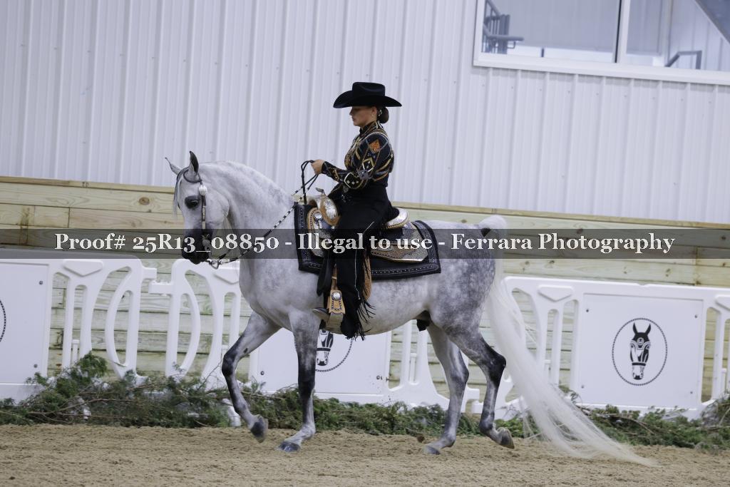 Proof 25R13_08850