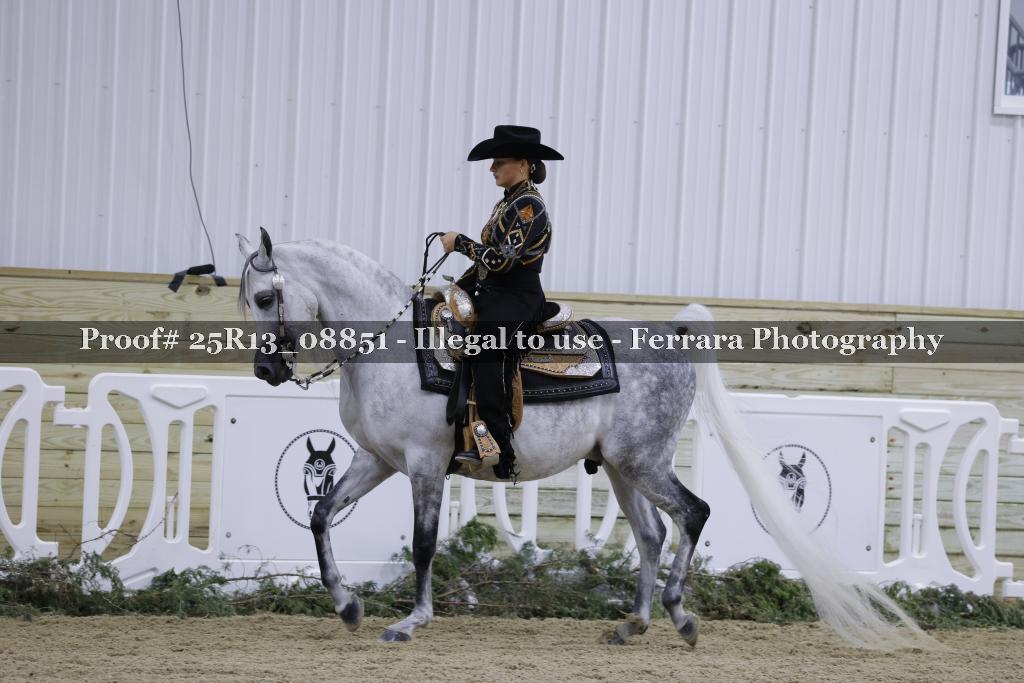 Proof 25R13_08851