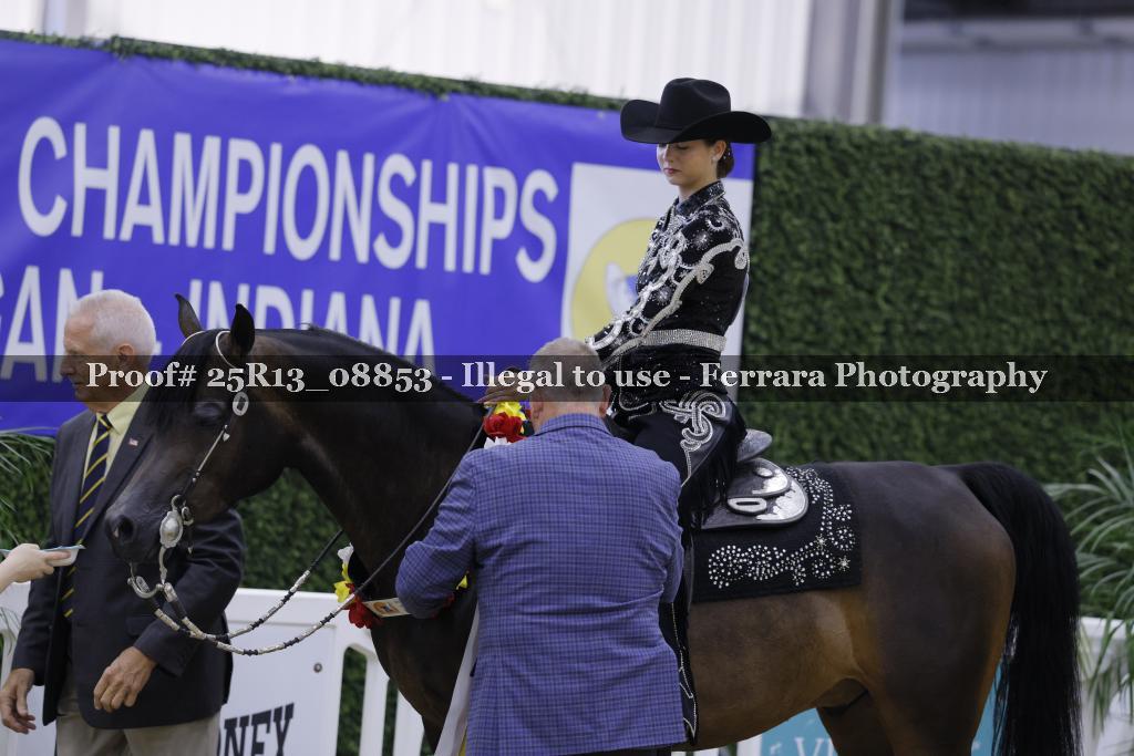 Proof 25R13_08853