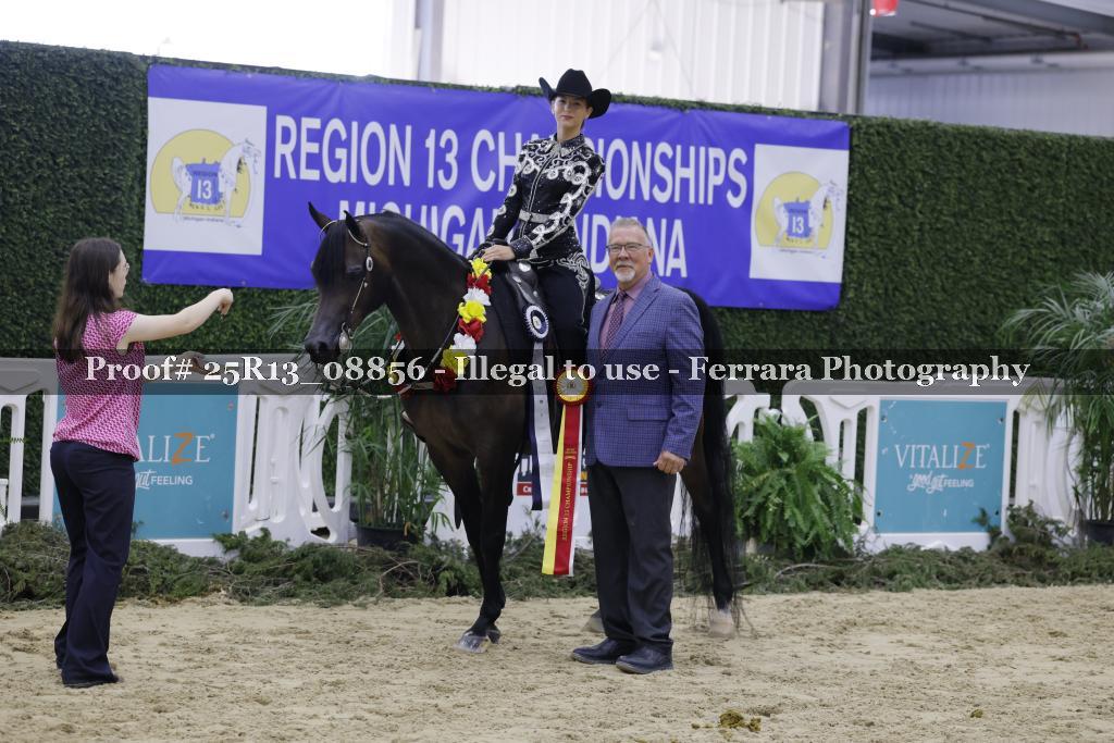 Proof 25R13_08856