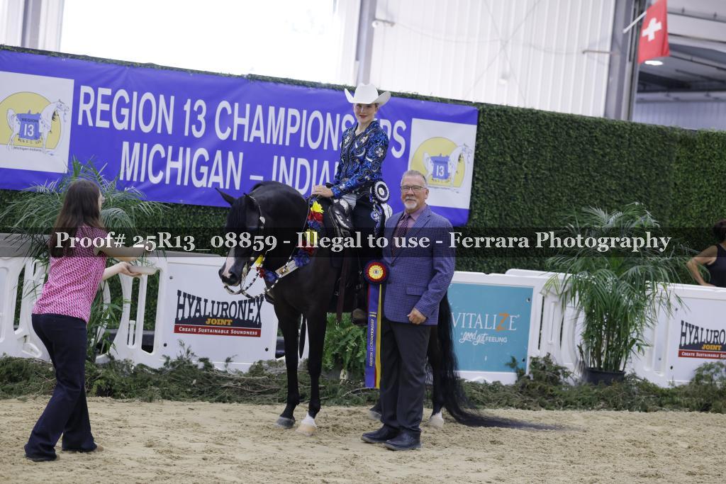 Proof 25R13_08859