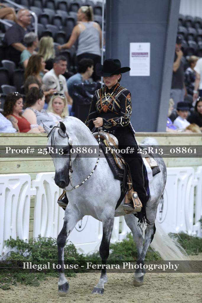 Proof 25R13_08861