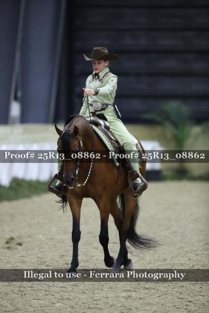 Proof 25R13_08862