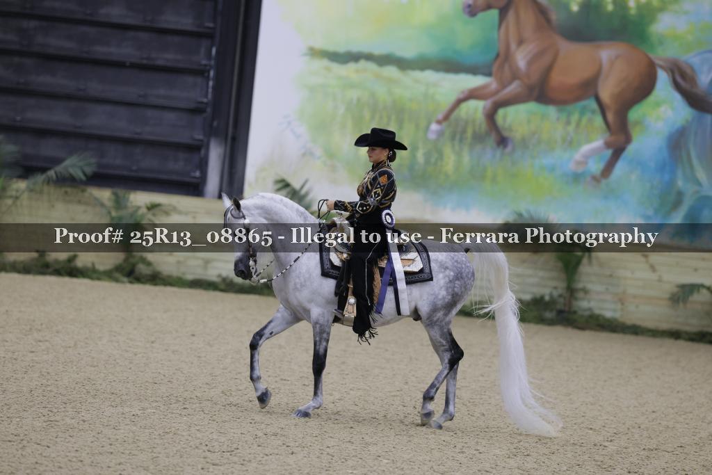 Proof 25R13_08865