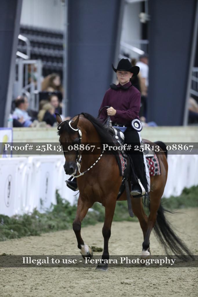Proof 25R13_08867