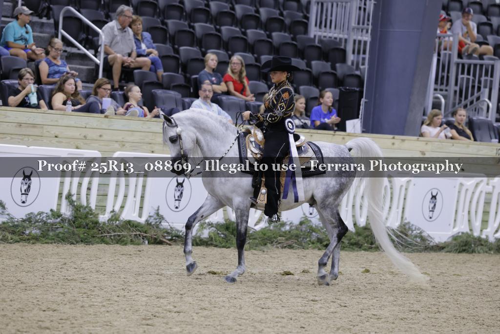 Proof 25R13_08869