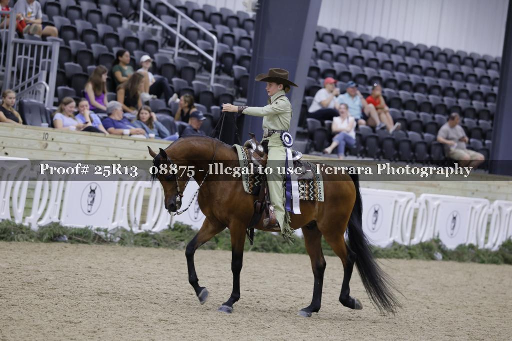Proof 25R13_08875