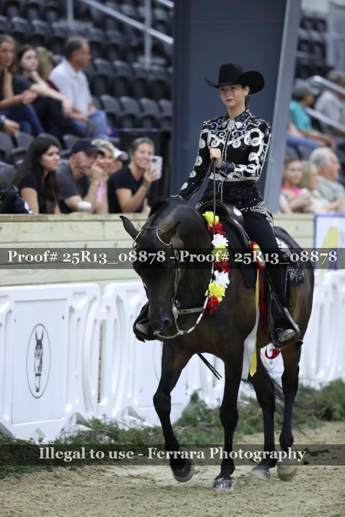 Proof 25R13_08878