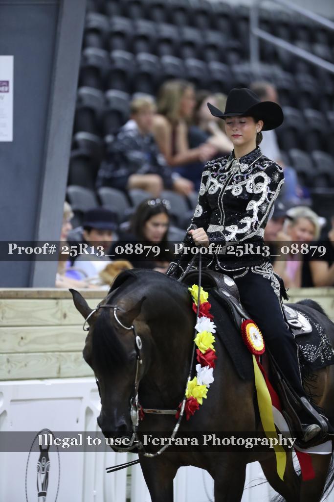 Proof 25R13_08879