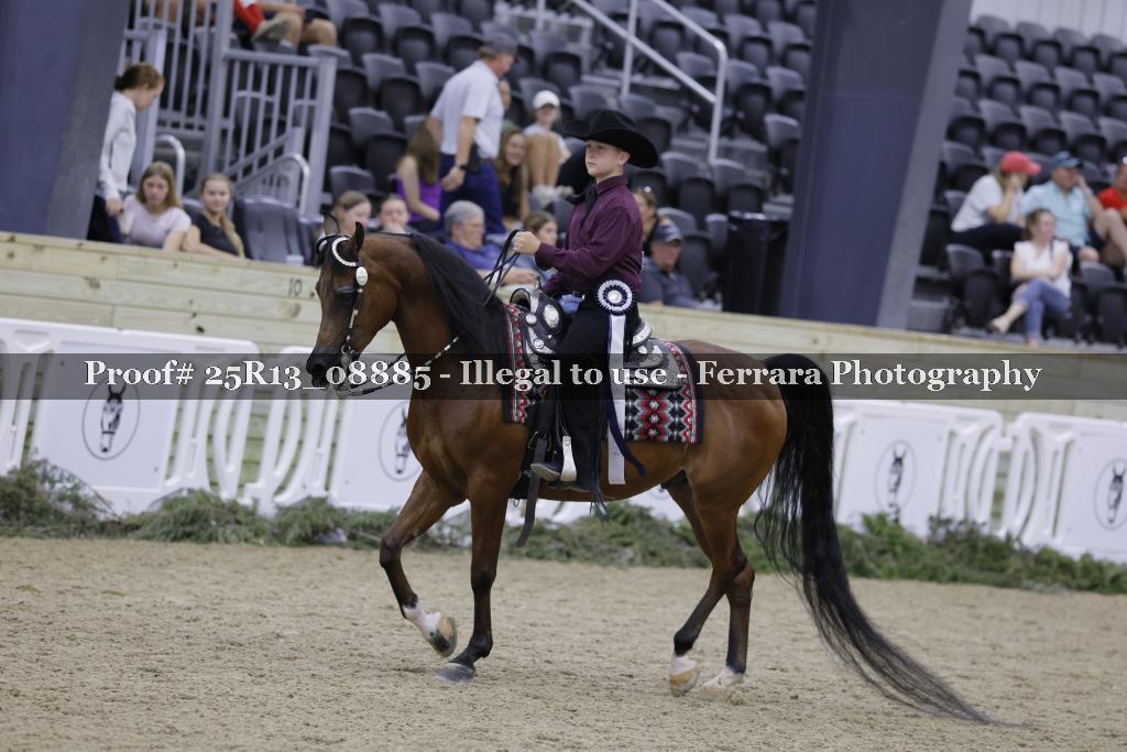 Proof 25R13_08885