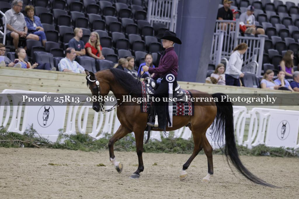 Proof 25R13_08886