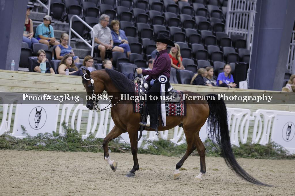 Proof 25R13_08887