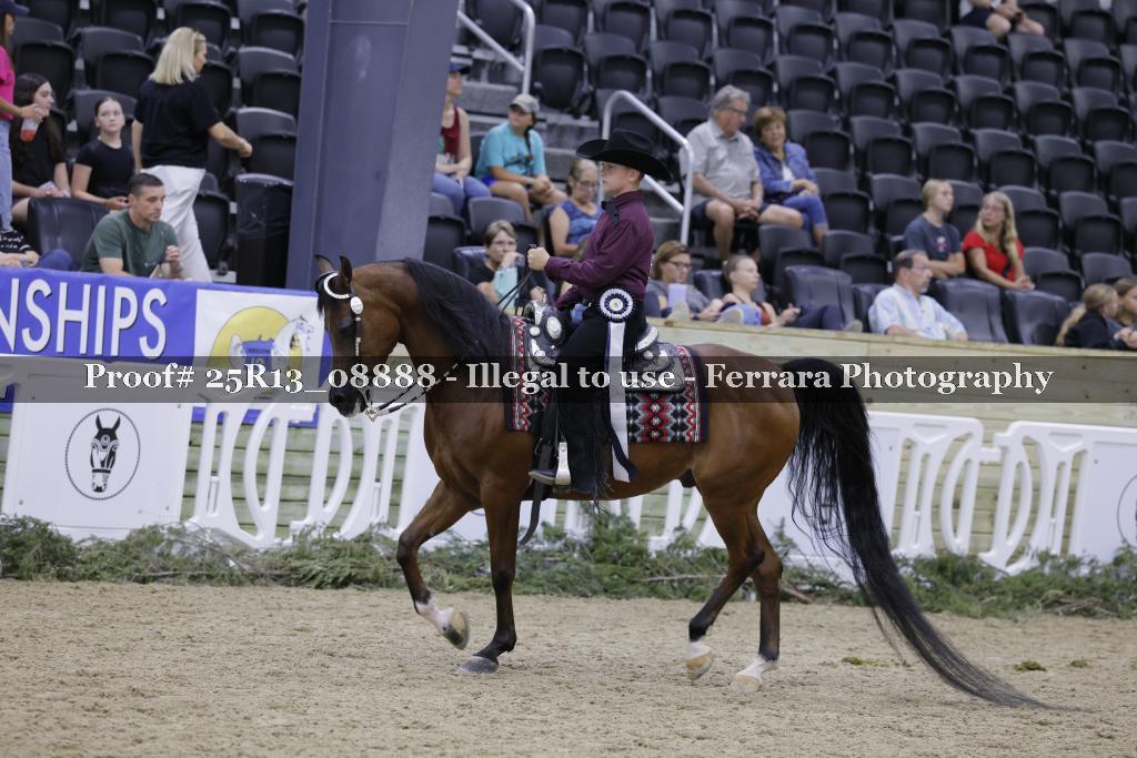 Proof 25R13_08888