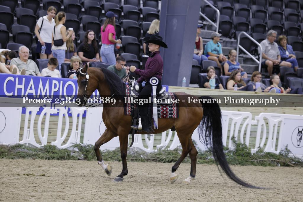 Proof 25R13_08889