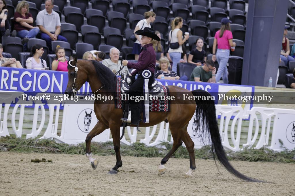 Proof 25R13_08890