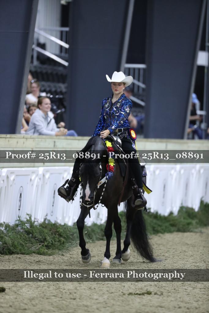 Proof 25R13_08891